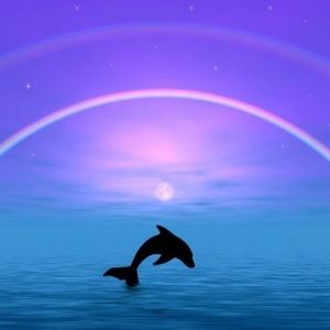 Meet your Posher, Carolyn a